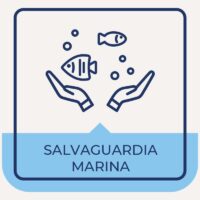 salvaguardia-marina-min