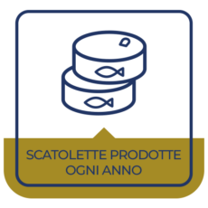 scatolette-min